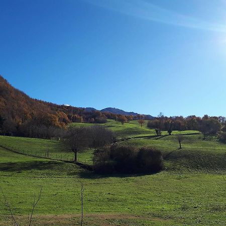 Il Gelso Room&Breakfast Pennabilli Εξωτερικό φωτογραφία