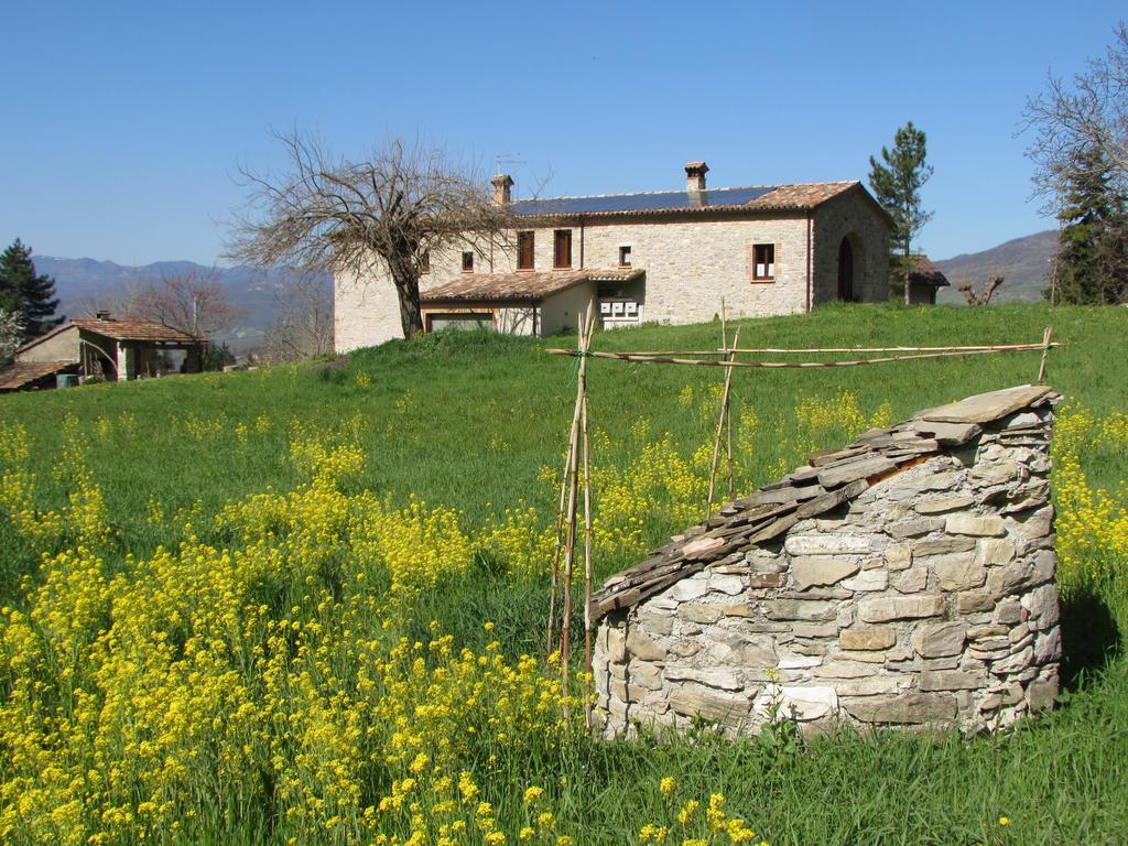 Il Gelso Room&Breakfast Pennabilli Εξωτερικό φωτογραφία
